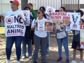 Bochornosa Estupidez Humana